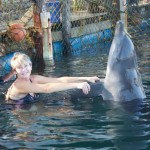 dolphin lodge serangan 5